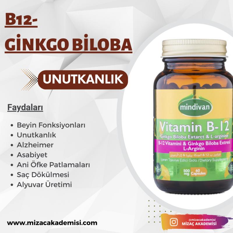 Vitamin B12 &Ginko Bloba Ekstresi & L Arginin