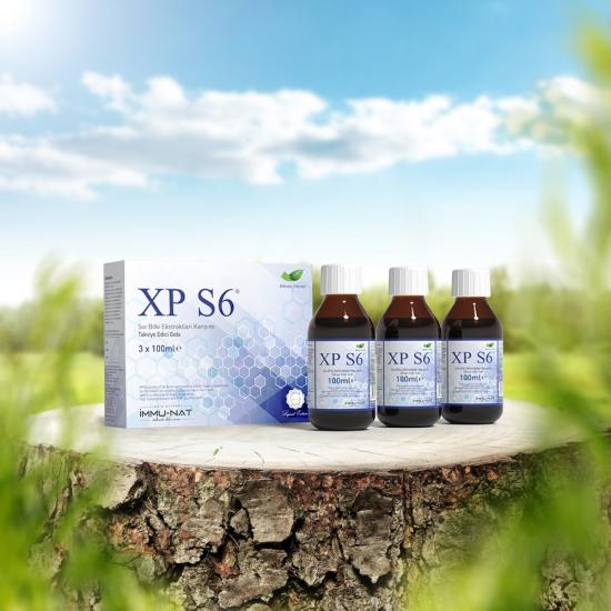 XP S6 Sıvı Box 300 ML