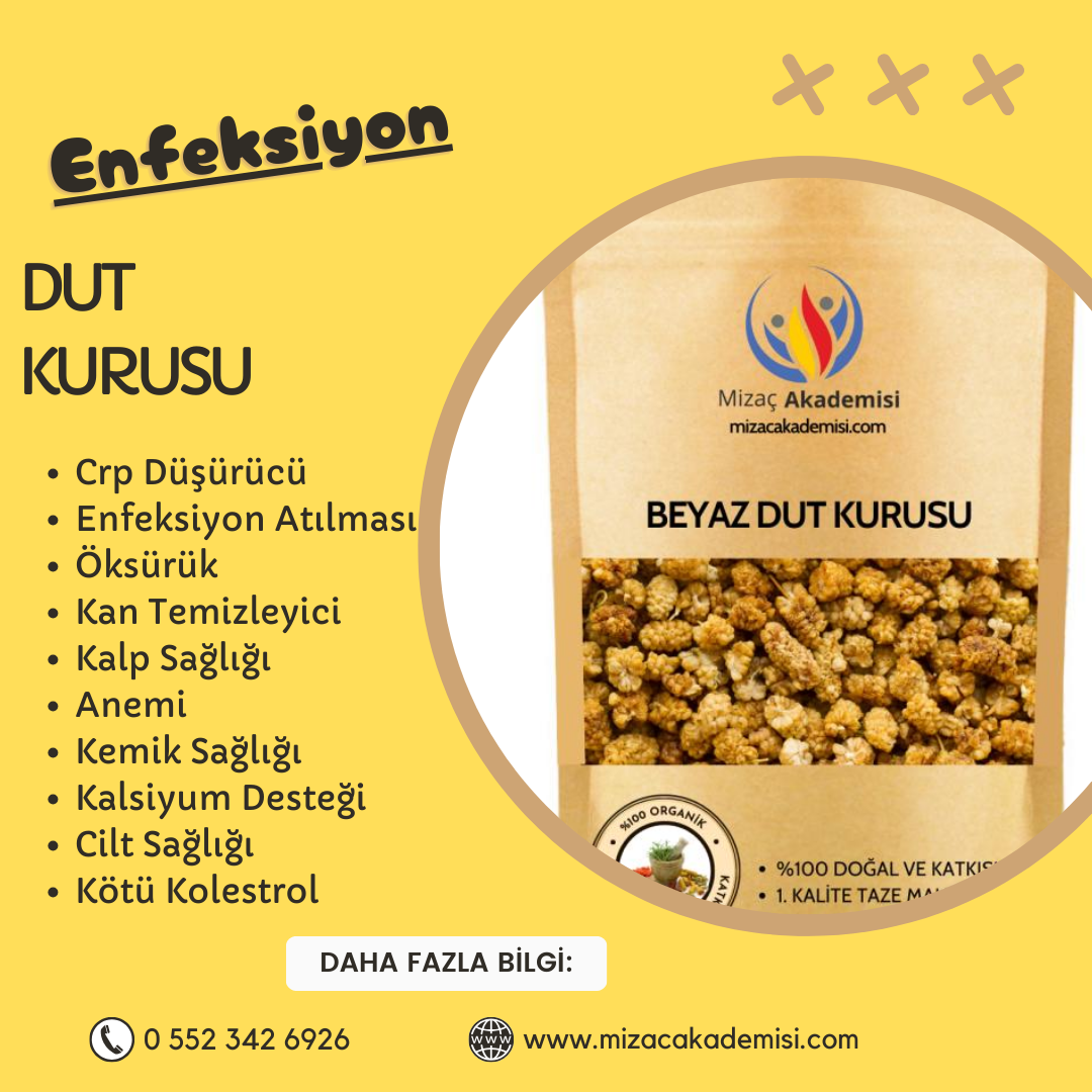 Kuru Dut 500 gr